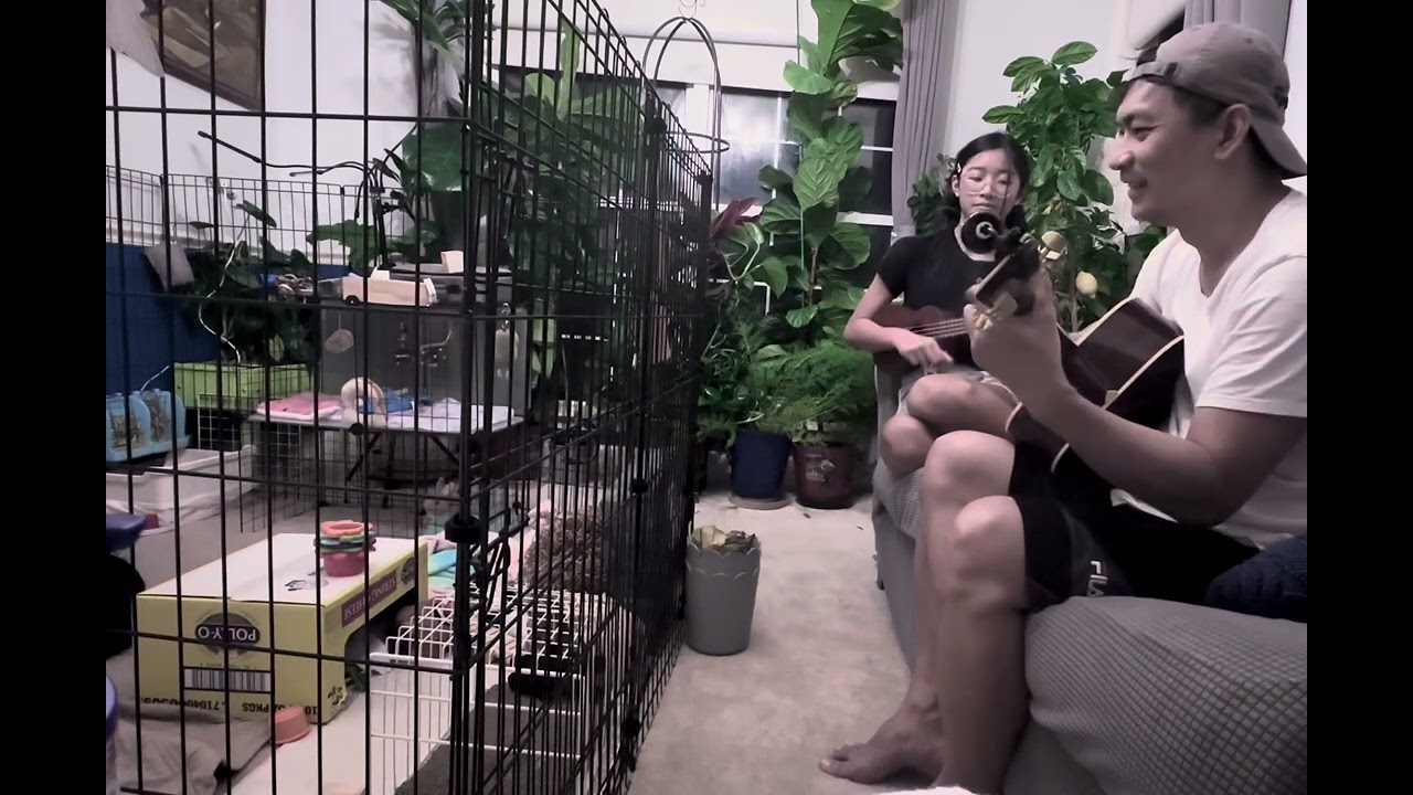 @tinumok - alliwantisyou (u2)