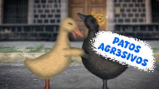 Patos Agr3Sivos - Los Patos Ilustres Serie Animada