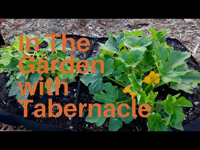 In The Garden With Tabernacle
