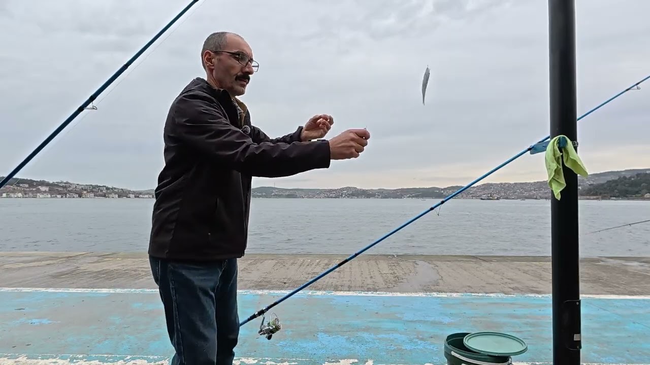 OKUMA SURFLINER KAMIŞ HAKKINDA