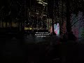 Soo therapeutic ❄️🫶🏾🥺 #winter #lights #christmas #shortsfeed #shorts