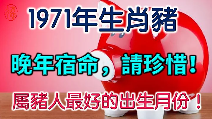 1971年生肖豬的晚年宿命，請珍惜！1971年豬最好的出生月份！ - 天天要聞