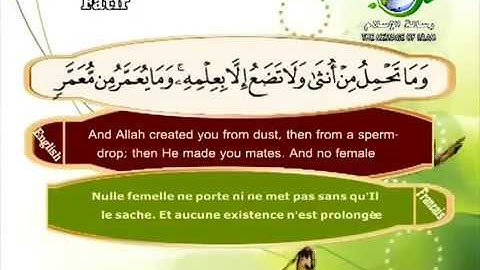 Sourate Fatir | Saad El-Ghamidi (35) سورة فاطر | سعد الغامدي