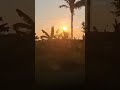 lindo fim de tarde