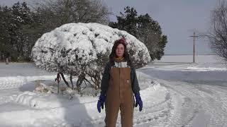 Working in Agriculture in the Snow: Preventing Slips, Trips and Falls