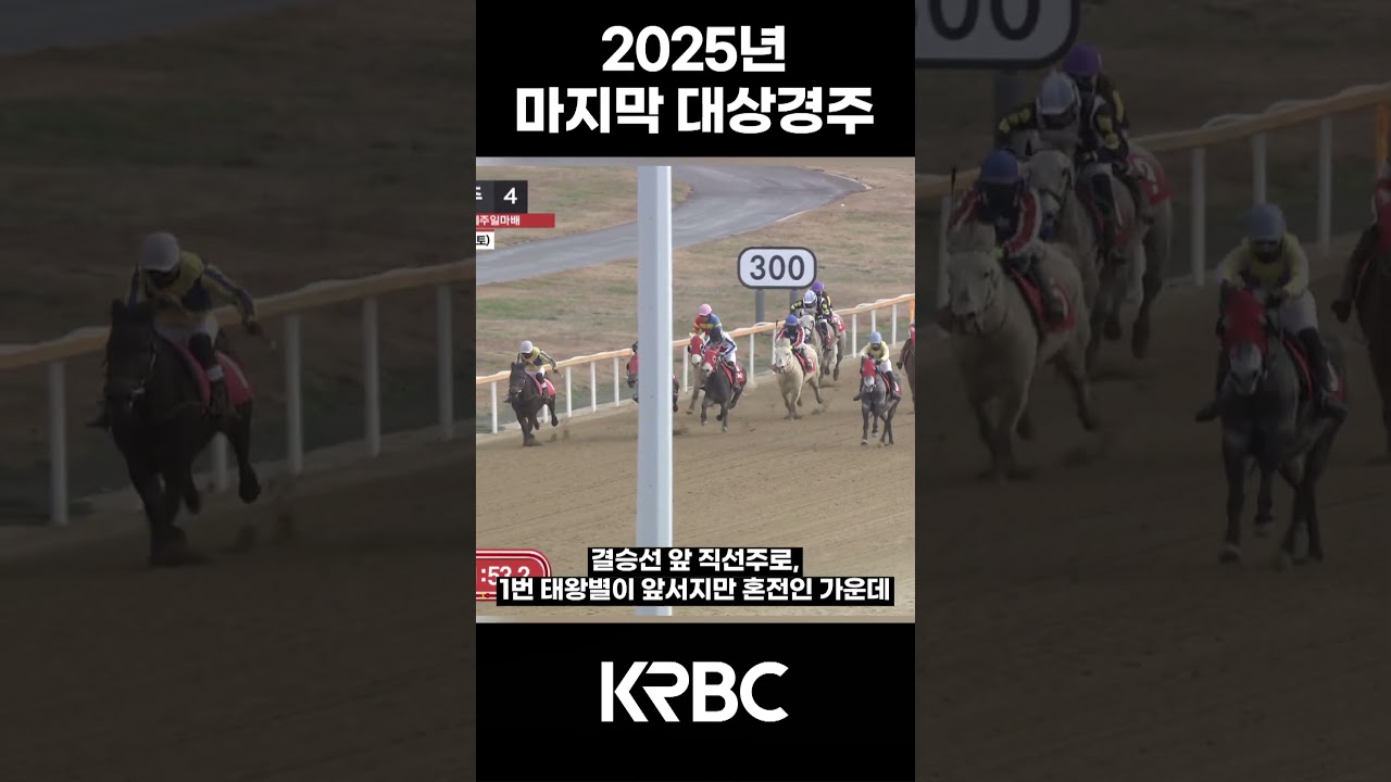 2025년 마지막 대상경주 #shorts #경마방송 #기수 #경주마 #경마 #KoreaHorseRacing
