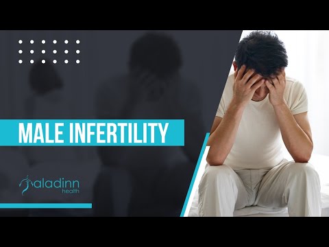 male-infertility---symptoms,-causes-and-treatments-|-dr.-anita-choudhary