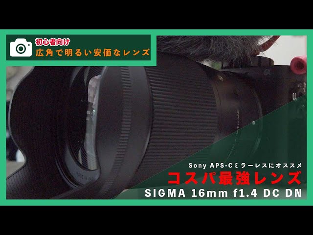sigma16mmf1.4dcdn　シグマ広角単焦点　APS-C