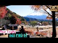Tour một ngày núi Phú Sĩ Nhật Bản 【Saiko Iyashi-no-Sato Nenba】| Du lịch Japan #explorejapan #travel