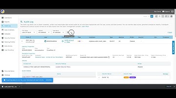 Universal Data Audit by Satori