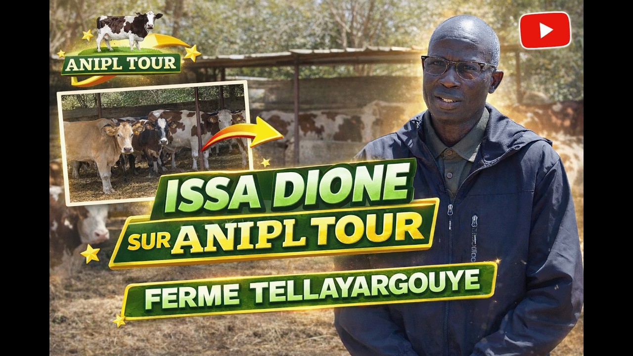 ANIPL TOUR : Immersion à la Ferme Tellayargouye avec M. Issa DIONE