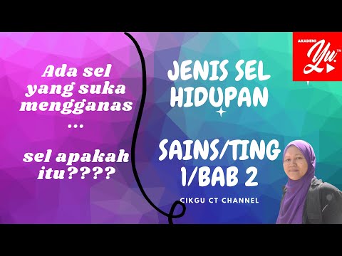 Video: Adakah benda bukan hidup terdiri daripada sel?