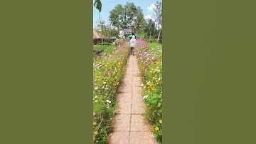 @Lối vào vườn chôm chôm Ba Hữu, Cồn Sơn 💗🌷