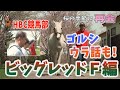 【ゴールドシップ最新映像】ビッグレッドF‘24春②話題のベンバトル産駒の１歳馬も登場！