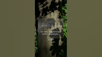 📖 تلاوة تريح القلب وتشرح الصدر | بصوت خاشع ✨#القرآن_الكريم #تدبر #راحة_القلب #قرآن