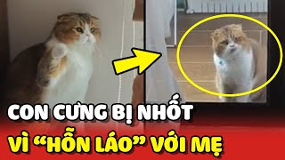 Con trai cưng của bố BỊ NHỐT ở ban công vị tội HỖN LÁO với mẹ 😂 | Yêu Lu