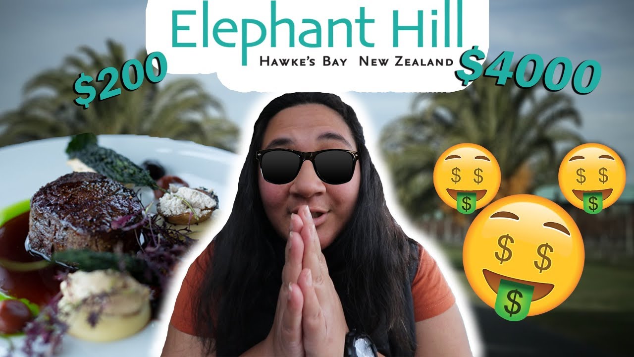 🤑🤑 MOST EXPENSIVE RESTAURANT REVIEW 🍽🥗 - Elephant Hill - RoshytheGreat
