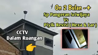 Respon Burung Walet Sp Pangeran Sriwijaya Vs Piyik Revisi ( Hexa & Tarik ) On 2 Bulan - 