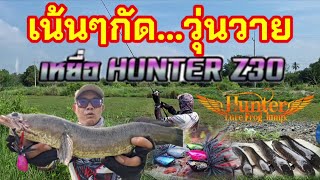 ไม่น่าเป็นไปได้กัดค่อยๆแต่ที่ไหนได้เป็นช่อนใหญ่1.3กิโล #ตกปลาช่อน #HunterZ30