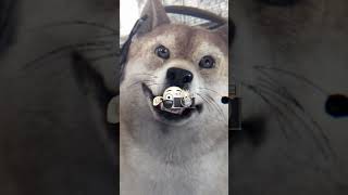 #obitsianjing #fypppppppppppppppppppppppppppppppppppppppppppppppppppppppppppppppppppppp