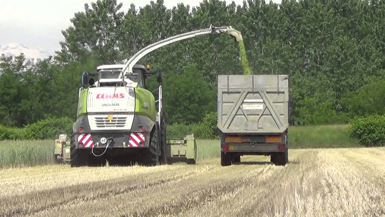 Trinciatura Triticale: CLAAS Jaguar 970 e Direct Disc 520 + Fendt x 2 e SAME Iron