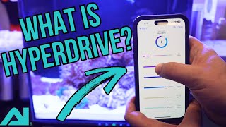 AI Hydra Edge Hyperdrive—How It Works