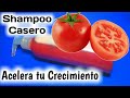 SHAMPOO DE TOMATE PARA ACELERAR EL CRECIMIENTO DEL CABELLO #pelocasero2