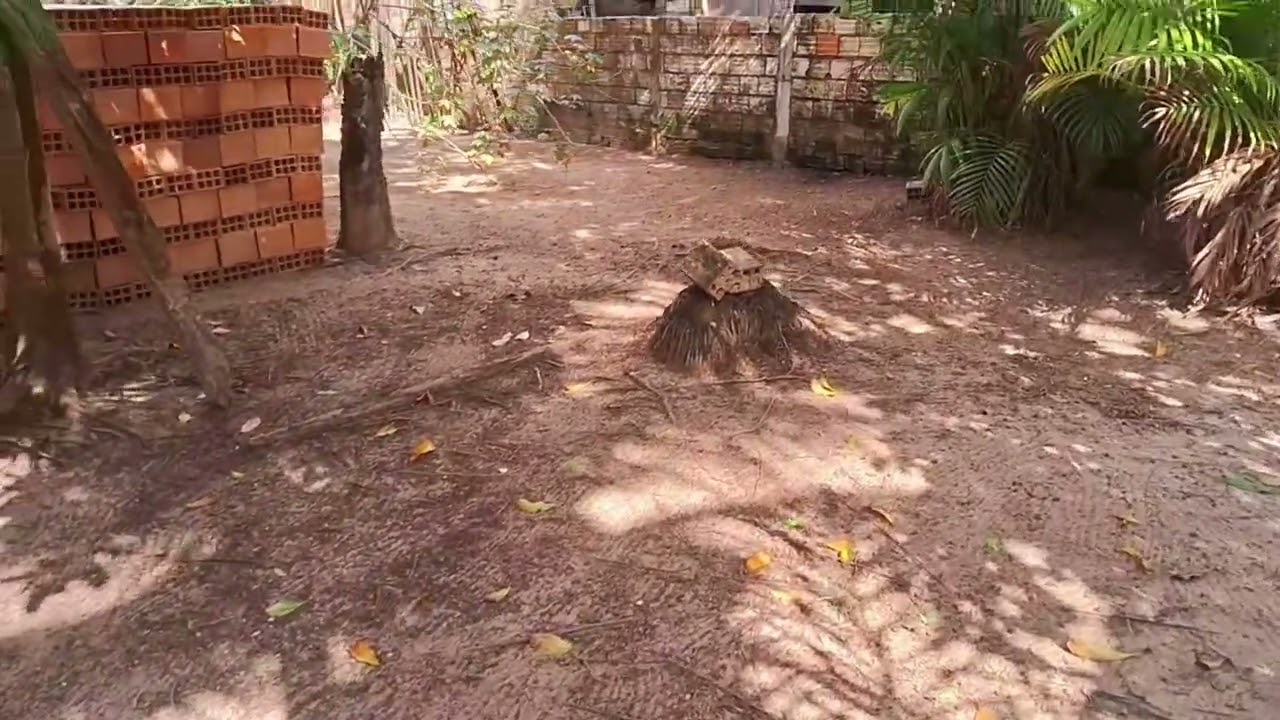 Obra concluída // Finalmente a barraca da minha mãe foi concluída com sucesso 🫡