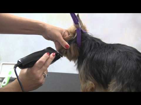 Easy Clip Multi-Trim