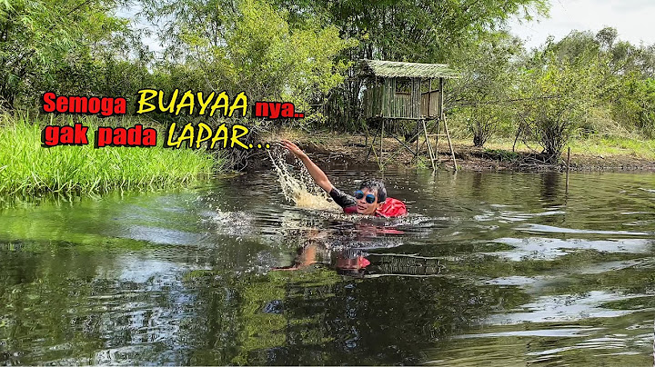 2 DAYS TO MAKE A BAMBOO HOUSE ON THE RIVER, INSTALL A FISHING ROD AND 5 CHICKEN BAIT SNAP 😅 #162 ...