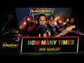 Packasz - How Many Times (Bob Marley and the Wailers cover)