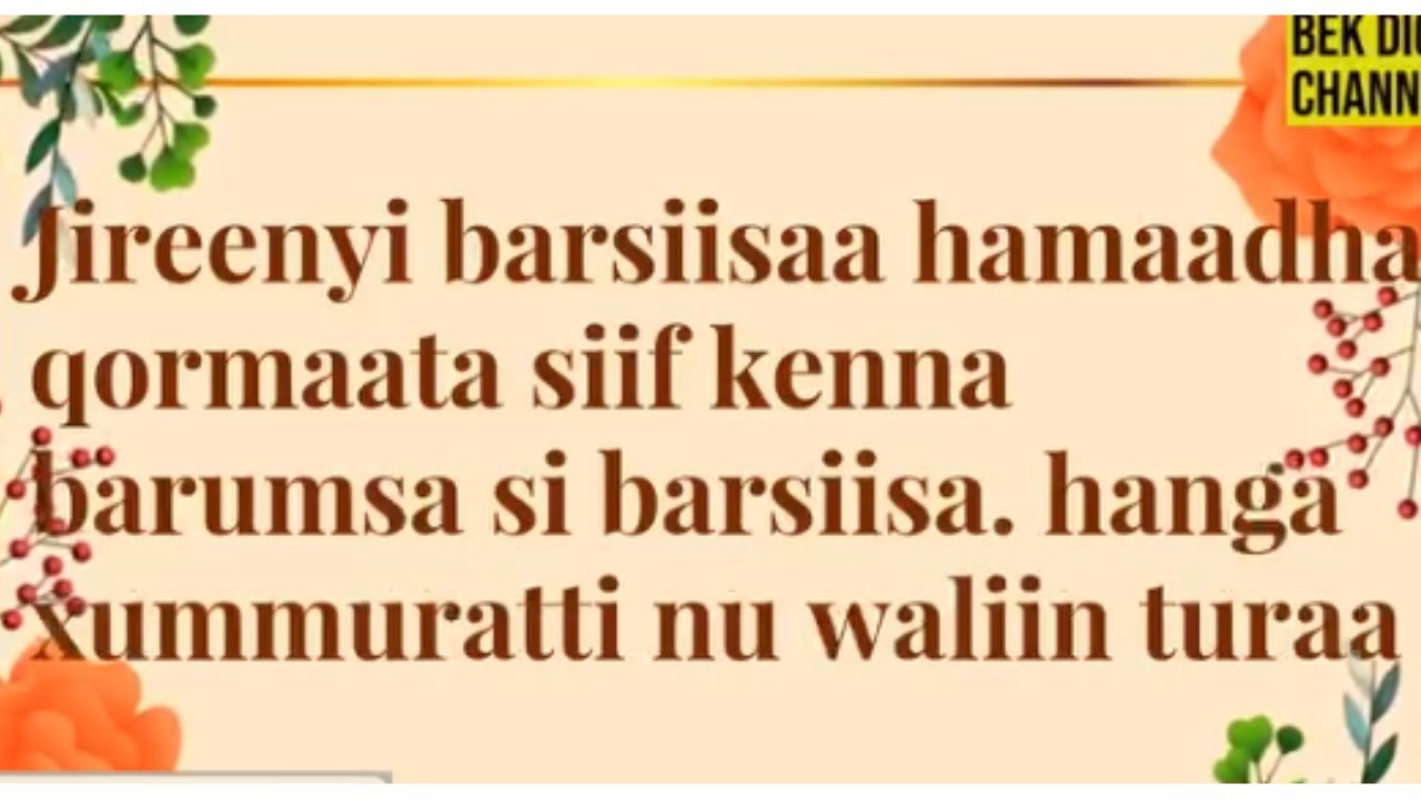 Jireenyi barsiisaa hamaadha, qormaata siif kenna barumsa si barsiisa.by ...