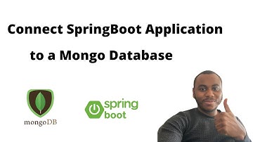 How to Connect a Spring Boot Application to a Mongo Database