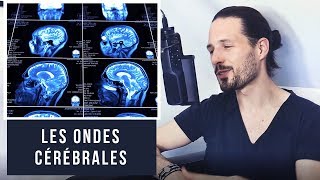 Différence entre les ondes bêta et les ondes delta