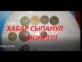 ХАБАР СЫПАНУЛ МОНЕТ!!!