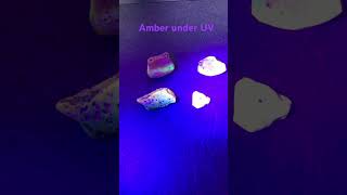Amber under UV light. #gemstone #fact