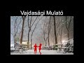 Vajdasági Mulató-Kedd esti mulató ilyen-olyan