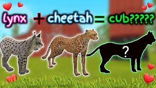 Wildcraft Lynx  cheetah = ???😲 Creating NEW hybrid animals in Wildcraft😳 merge animals 😲wow how🤯