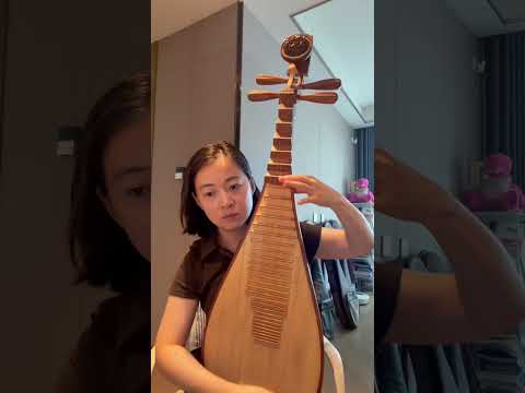 【琵琶版】门尼《红绣花》| "Red Embroidered Flower" (Mooney) - Pipa Instrumental