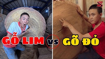 Sự Thật về gỗ nguyên khối gõ đỏ, căm xe, lim xanh, lim vàng ?  | Sơn Sập Gỗ