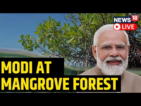 PM Modi Live