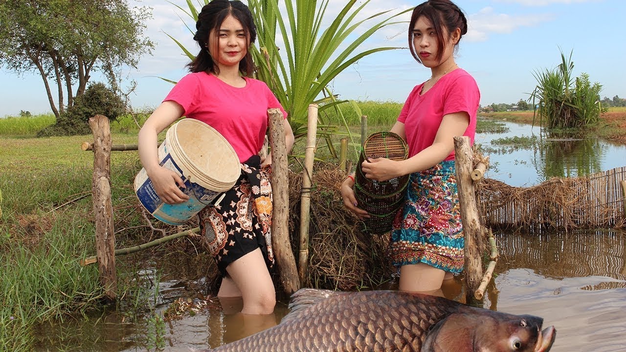 Beautiful Girl Fishing Amazing Fishing at Battambong How To Catch