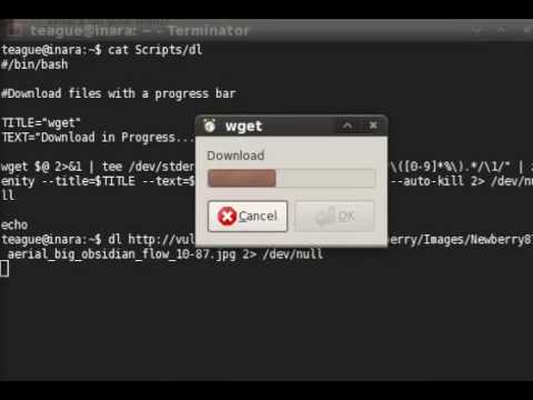 wget with Zenity Progress Bar Final Version (for now)