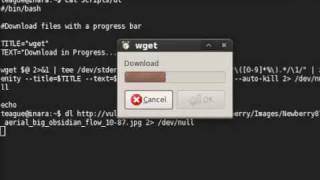 wget with Zenity Progress Bar Final Version (for now)