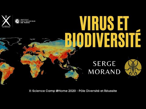 Vidéo: Exploration Des Transcriptomes Du Blé Et Des Agents Pathogènes Pendant L'infection Des Taches Bronzées