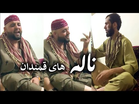 ناله های قمندان الیاس و تغه شیخعلی   2020