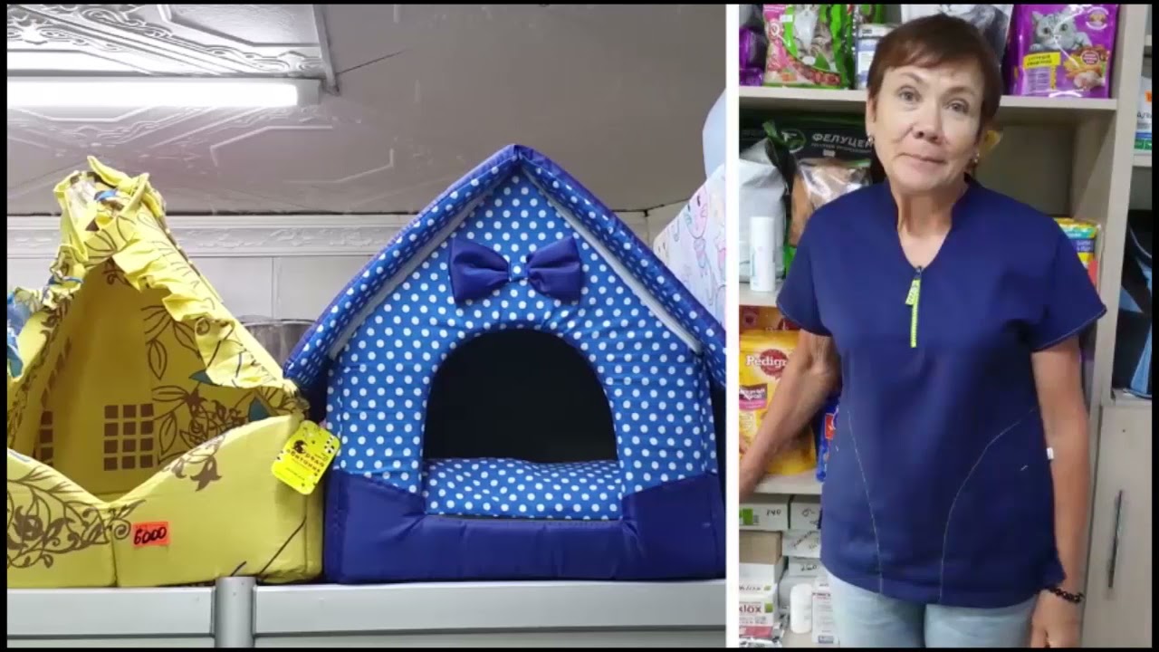 24 часа от 14.10.21_Ветеринарная клиника Vet-Express