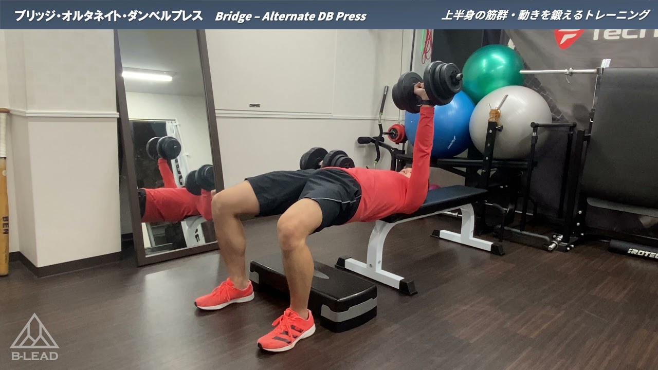 ブリッジ・オルタネイト・ダンベルプレス｜Bridge Alternate DB Press