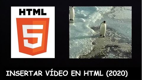 Cómo Poner un VÍDEO en HTML que se Reproduzca SOLO (2024) 🎥