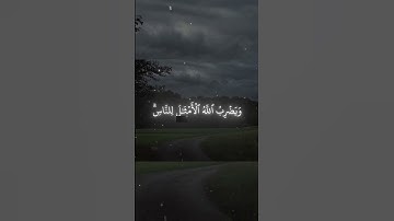 سورة النور | القارئ محمد اللحيدان